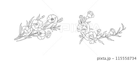 Carnation flower arrangement line art on white background. Silhouette botanical hand drawn element for wedding, invitation frame design, vector illustration 115558734