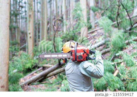 チェンソーを肩に担ぎながら間伐した木の数を数えている林業従事者の男性 115559417