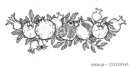 Vector composition of pomegranate halves with seeds and leaves. Botanical black and white illustration, hand drawn in linocut style. Drawing for design of packaging, menus, recipes, postcards Vector composition of pomegranate halves with seeds and leaves. Botanical black and white illustration, hand drawn in linocut style. Drawing for design of packaging, menus, recipes, postcards 115559543