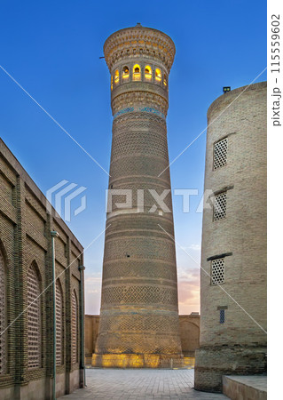 Kalan minaret, Bukhara, Uzbekistan Kalan minaret, Bukhara, Uzbekistan 115559602