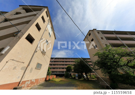 都営住宅団地(江東区辰巳) 都営住宅団地(江東区辰巳) 115559658