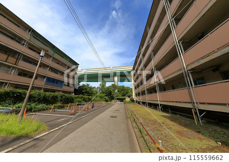 都営住宅団地（江東区辰巳） 115559662