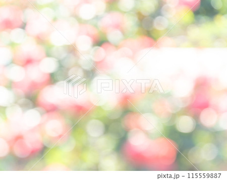 背景素材 水玉模様のリフレクション お花畑の様なカラフルな明るい春のイメージ 背景素材 水玉模様のリフレクション お花畑の様なカラフルな明るい春のイメージ 115559887
