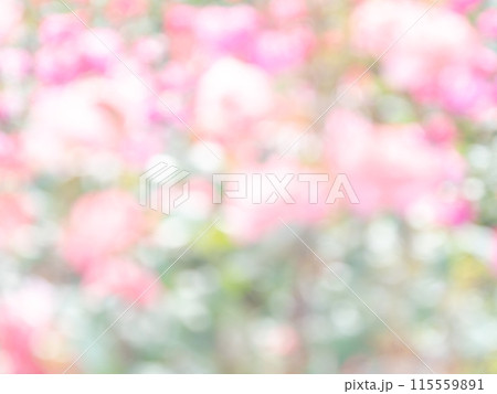 背景素材 水玉模様のリフレクション お花畑の様なカラフルな明るい春のイメージ 背景素材 水玉模様のリフレクション お花畑の様なカラフルな明るい春のイメージ 115559891