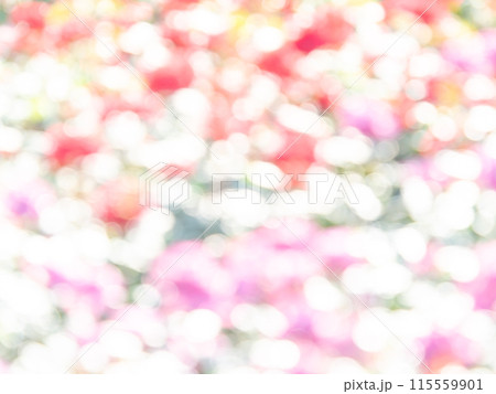 背景素材 水玉模様のリフレクション お花畑の様なカラフルな明るい春のイメージ 背景素材 水玉模様のリフレクション お花畑の様なカラフルな明るい春のイメージ 115559901