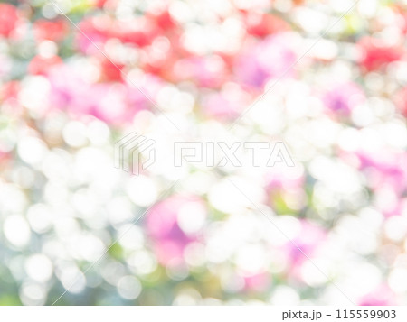 背景素材 水玉模様のリフレクション お花畑の様なカラフルな明るい春のイメージ 背景素材 水玉模様のリフレクション お花畑の様なカラフルな明るい春のイメージ 115559903