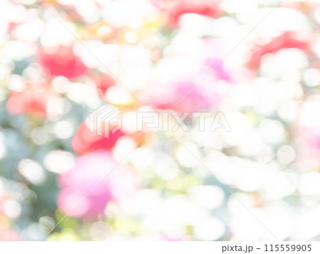 背景素材 水玉模様のリフレクション お花畑の様なカラフルな明るい春のイメージ 背景素材 水玉模様のリフレクション お花畑の様なカラフルな明るい春のイメージ 115559905
