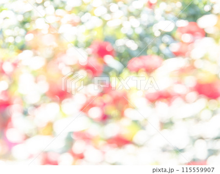 背景素材 水玉模様のリフレクション お花畑の様なカラフルな明るい春のイメージ 背景素材 水玉模様のリフレクション お花畑の様なカラフルな明るい春のイメージ 115559907