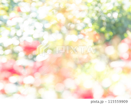 背景素材　水玉模様のリフレクション　お花畑の様なカラフルな明るい春のイメージ 115559909