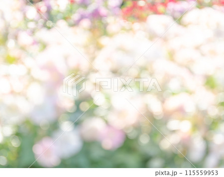 背景素材　水玉模様のリフレクション　お花畑の様なカラフルな明るい春のイメージ 115559953