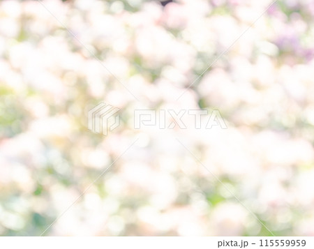 背景素材 水玉模様のリフレクション お花畑の様なカラフルな明るい春のイメージ 背景素材 水玉模様のリフレクション お花畑の様なカラフルな明るい春のイメージ 115559959