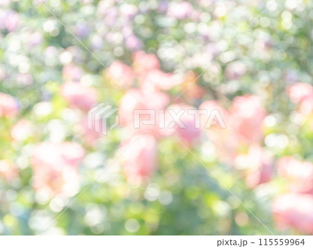 背景素材 水玉模様のリフレクション お花畑の様なカラフルな明るい春のイメージ 背景素材 水玉模様のリフレクション お花畑の様なカラフルな明るい春のイメージ 115559964