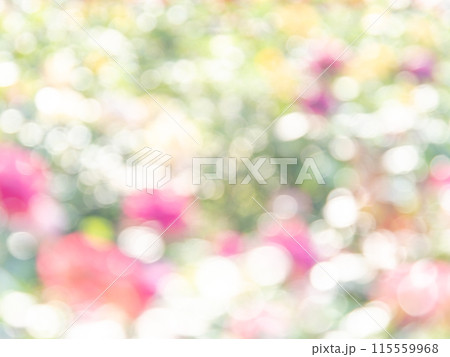 背景素材 水玉模様のリフレクション お花畑の様なカラフルな明るい春のイメージ 背景素材 水玉模様のリフレクション お花畑の様なカラフルな明るい春のイメージ 115559968
