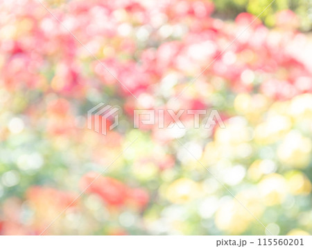 背景素材　水玉模様のリフレクション　お花畑の様なカラフルな明るい春のイメージ 115560201