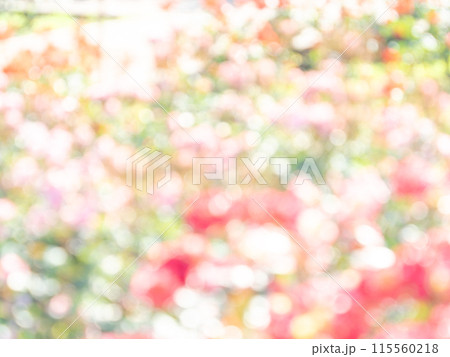 背景素材　水玉模様のリフレクション　お花畑の様なカラフルな明るい春のイメージ 115560218