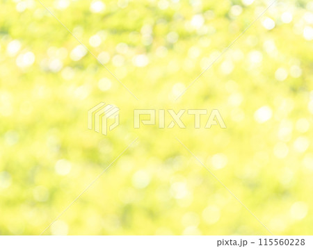 背景素材 水玉模様のリフレクション お花畑の様なカラフルな明るい春のイメージ 背景素材 水玉模様のリフレクション お花畑の様なカラフルな明るい春のイメージ 115560228