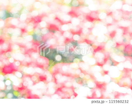 背景素材 水玉模様のリフレクション お花畑の様なカラフルな明るい春のイメージ 背景素材 水玉模様のリフレクション お花畑の様なカラフルな明るい春のイメージ 115560232