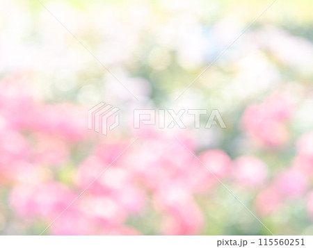 背景素材 水玉模様のリフレクション お花畑の様なカラフルな明るい春のイメージ 背景素材 水玉模様のリフレクション お花畑の様なカラフルな明るい春のイメージ 115560251