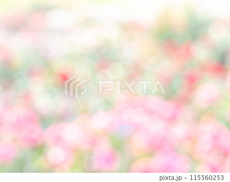 背景素材 水玉模様のリフレクション お花畑の様なカラフルな明るい春のイメージ 背景素材 水玉模様のリフレクション お花畑の様なカラフルな明るい春のイメージ 115560253