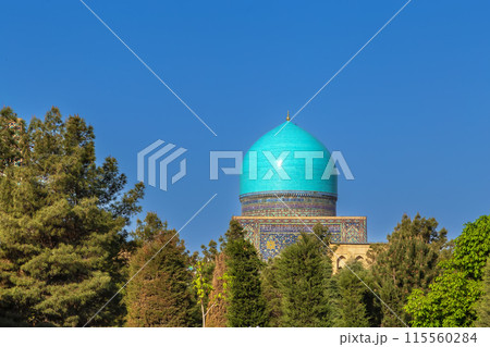 Tilya Kori Madrasa, Samarkand, Uzbekistan 115560284