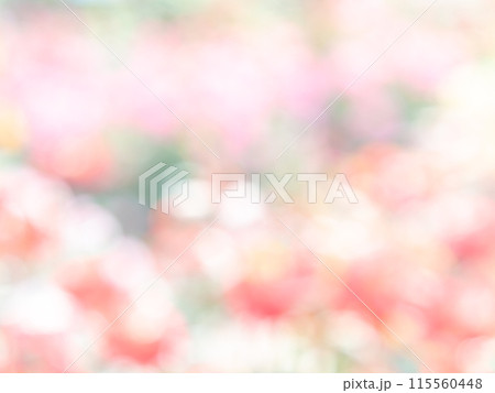 背景素材　水玉模様のリフレクション　お花畑の様なカラフルな明るい春のイメージ 115560448