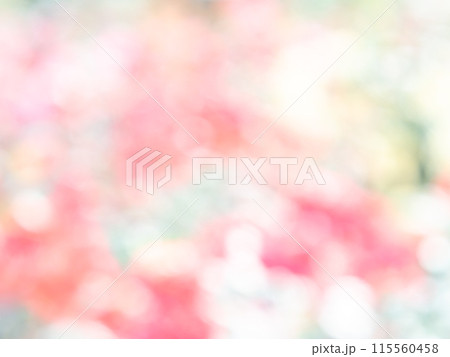 背景素材 水玉模様のリフレクション お花畑の様なカラフルな明るい春のイメージ 背景素材 水玉模様のリフレクション お花畑の様なカラフルな明るい春のイメージ 115560458