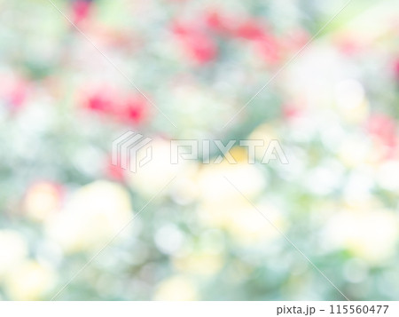 背景素材　水玉模様のリフレクション　お花畑の様なカラフルな明るい春のイメージ 115560477