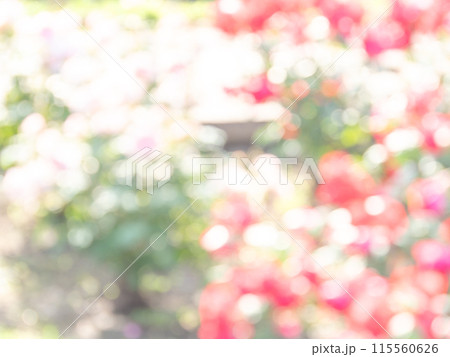 背景素材　水玉模様のリフレクション　お花畑の様なカラフルな明るい春のイメージ 115560626
