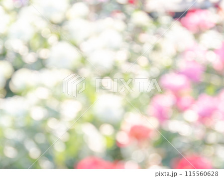 背景素材 水玉模様のリフレクション お花畑の様なカラフルな明るい春のイメージ 背景素材 水玉模様のリフレクション お花畑の様なカラフルな明るい春のイメージ 115560628