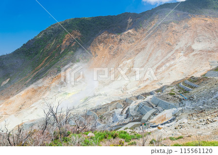 箱根 大涌谷 箱根 大涌谷 115561120