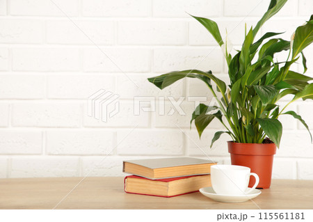 Working table with coffee cup, books and houseplant. Stay home 115561181
