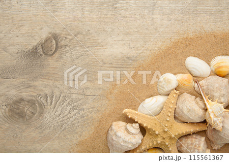 Starfish and seashells with sand on light background. Summer concept Starfish and seashells with sand on light background. Summer concept 115561367