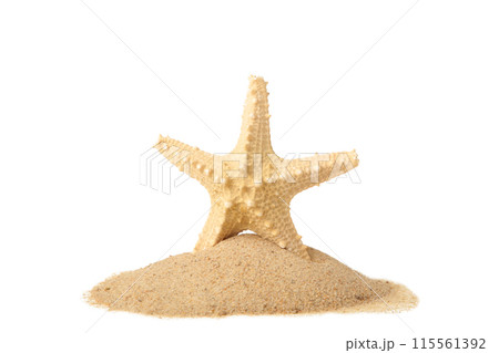 Starfish with sand isolated on a white background with copy space. Summer concept Starfish with sand isolated on a white background with copy space. Summer concept 115561392