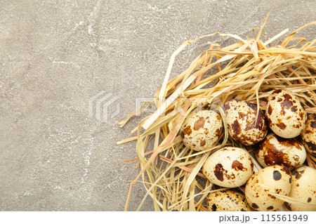 Fresh quail eggs in a straw nest on grey background 115561949