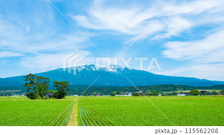 遊佐町から望む鳥海山 遊佐町から望む鳥海山 115562208