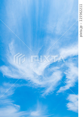 爽やかな青空 爽やかな青空 115562211