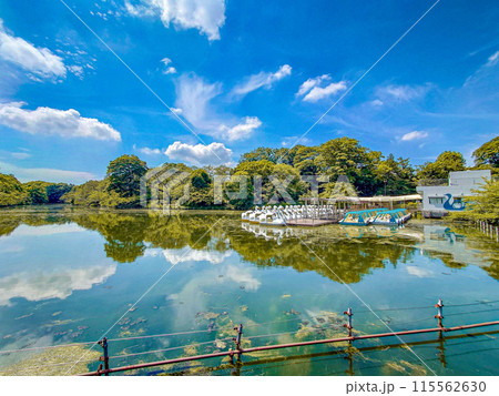 井の頭恩賜公園 井の頭恩賜公園 115562630