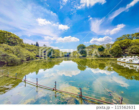 井の頭恩賜公園 115562631