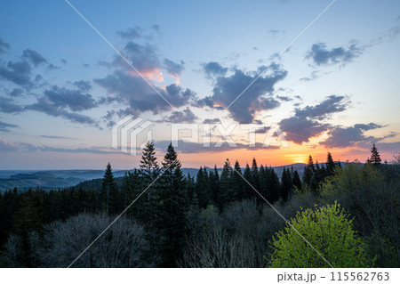Eifel, Rhineland-Palatinate, Germany 115562763