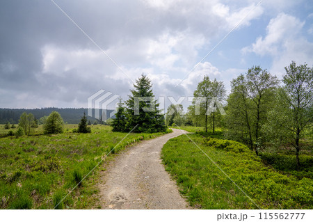 High Fens, Eifel, Belgium 115562777