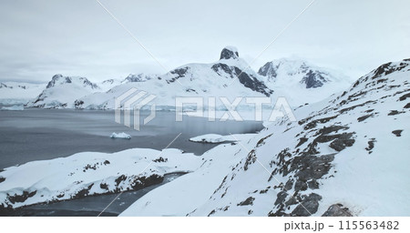 Fly over penguins resting snow covered rock in Antarctica. Arctic slope hill over cold polar ocean, mountain range in background. Explore wildlife habitat in Antarctica. South Pole discover and travel Fly over penguins resting snow covered rock in Antarctica. Arctic slope hill over cold polar ocean, mountain range in background. Explore wildlife habitat in Antarctica. South Pole discover and travel 115563482