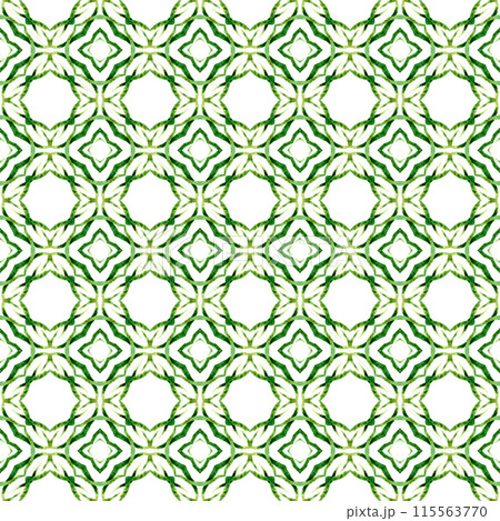 Organic tile. Green grand boho chic summer design. Trendy organic green border. Textile ready radiant print, swimwear fabric, wallpaper, wrapping. 115563770