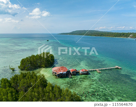 Vanishing Island with mangroves and corals. Turquoise water and waves. Samal, Davao. Philippines. 115564670