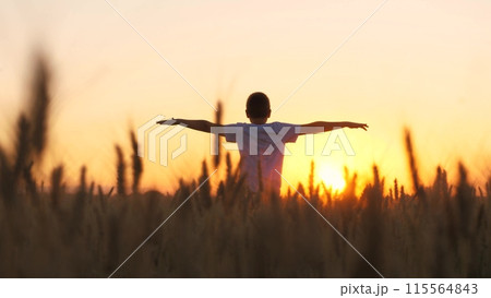 Overjoyed male teenager speed running on wheat field picturesque sunset sunrise bright sun light sky back view. Teen boy movement with raised hands enjoy freedom happy childhood at countryside meadow 115564843