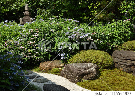 甘茶と石塔 霊源院庭園「鶴鳴九皐」 甘茶と石塔 霊源院庭園「鶴鳴九皐」 115564972