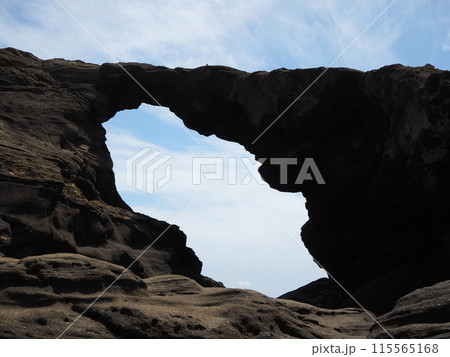城ヶ島の「馬の背洞門」の風景 城ヶ島の「馬の背洞門」の風景 115565168
