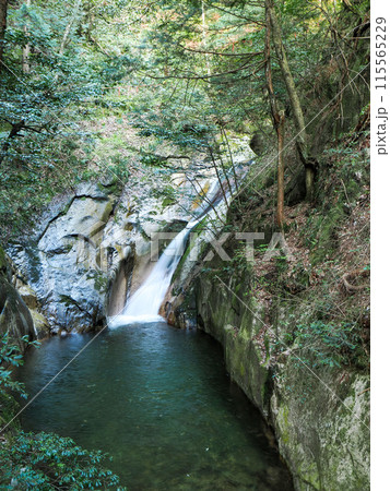 寂地峡の五竜の滝 寂地峡の五竜の滝 115565229