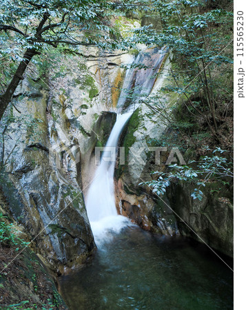 寂地峡の五竜の滝 寂地峡の五竜の滝 115565230