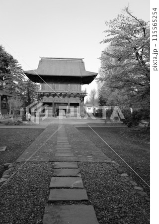 禅林街の様子 禅林街の様子 115565254