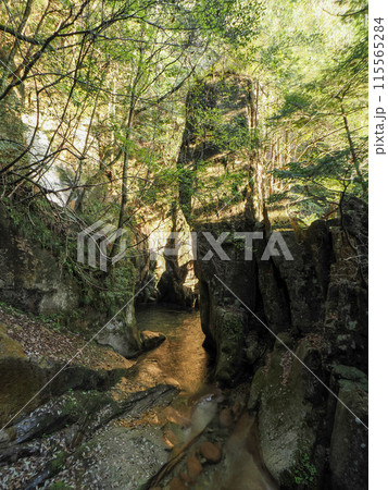 寂地峡の五竜の滝 寂地峡の五竜の滝 115565284